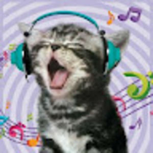 Meet your Posher, Jocelyn